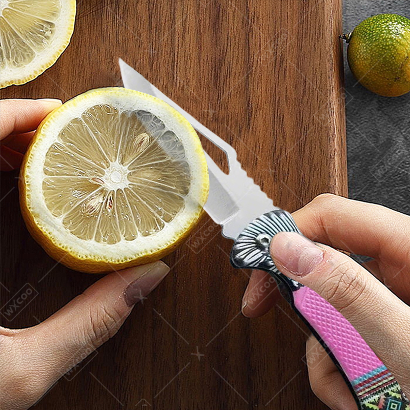 WXCOO Folding Knife Stainless  - Kitchen Gadgets Sale ulasan dan harga