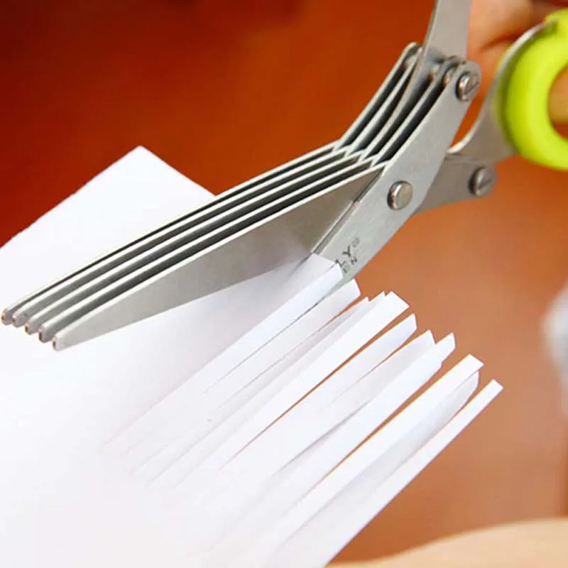 5 Layers Blade Scallion Scisso - Herb Scissors 5 Blade ulasan dan harga