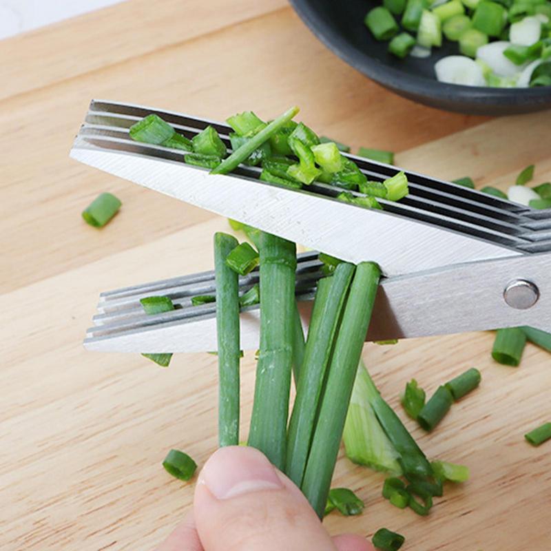 Multi Layer Scissor Kitchen Sh - Herb Scissors 5 Blade ulasan dan harga