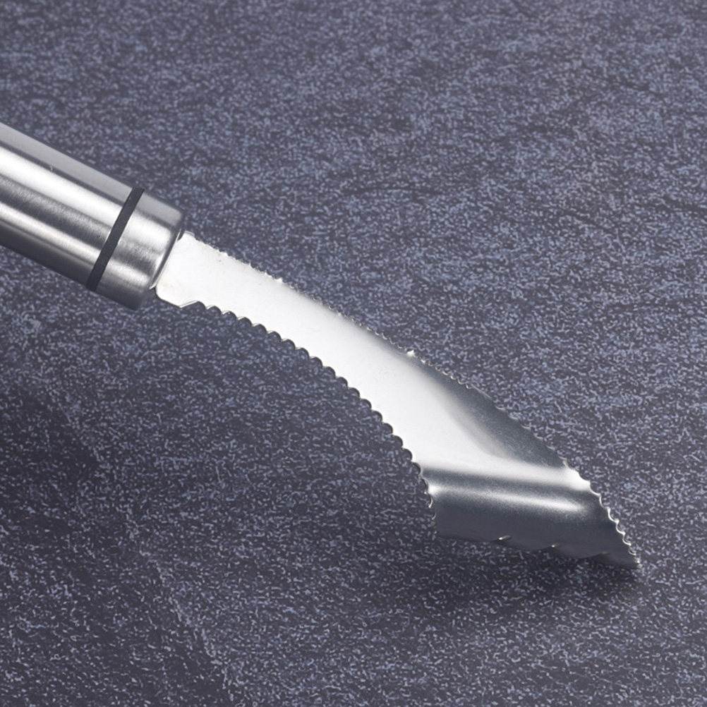 Stainless Steel Chili Corer Pe - Kitchen Gadgets Tools ulasan dan harga
