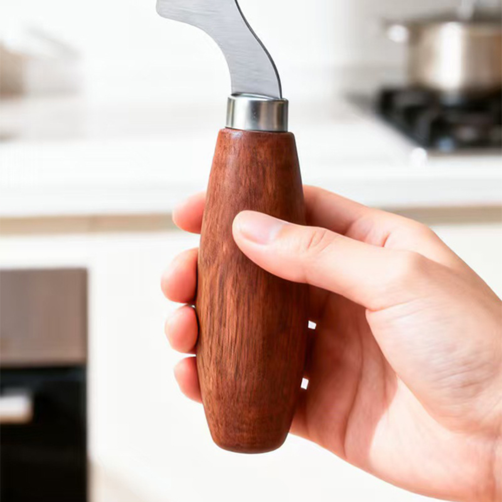 Stainless Steel Green Onion Sl - Kitchen Gadgets Vegetable Chopper ulasan dan harga
